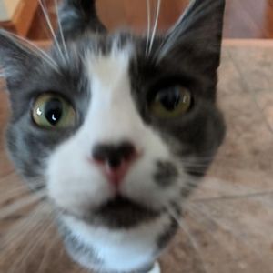 Meet your Posher, Marissa